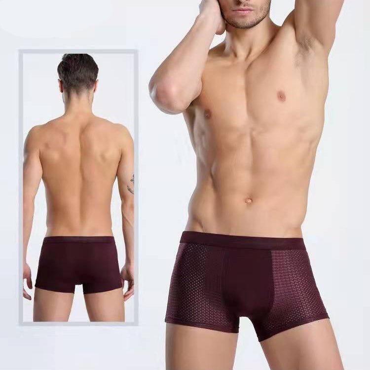 Summer mesh ice silk underwear - linilee