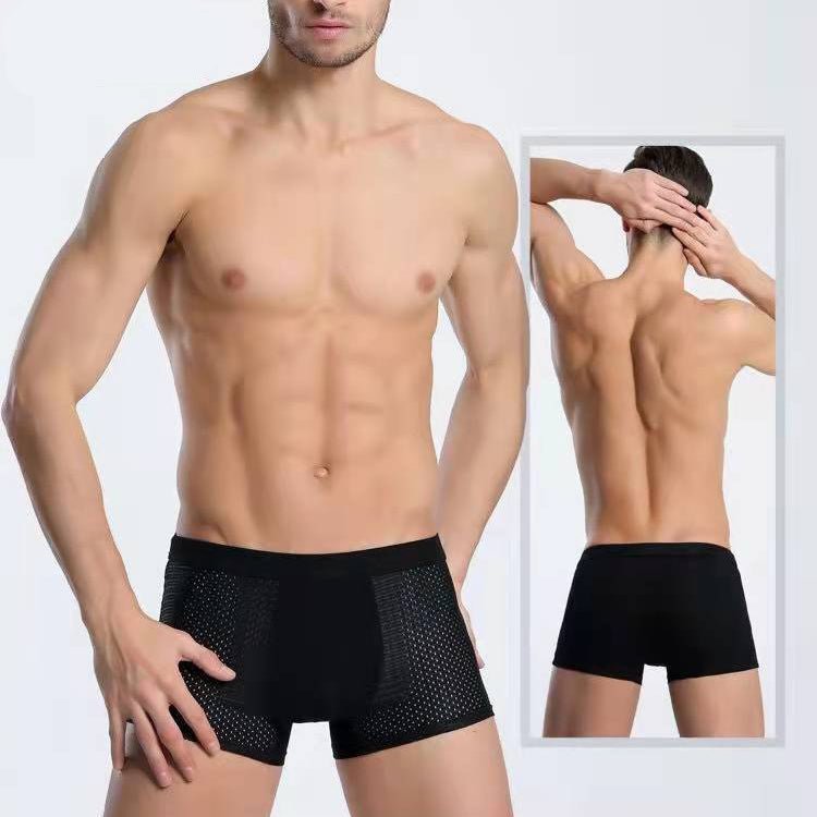 Summer mesh ice silk underwear - linilee
