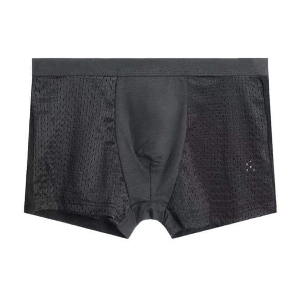 Modal Solid Ice Silk Antibacterial Underwear - linilee