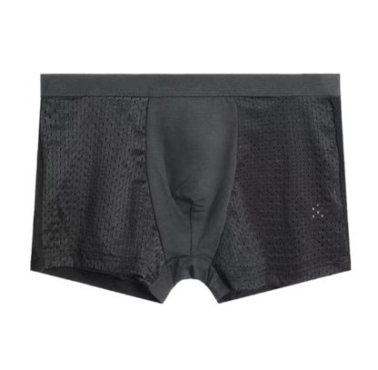 Modal Solid Ice Silk Antibacterial Underwear - linilee