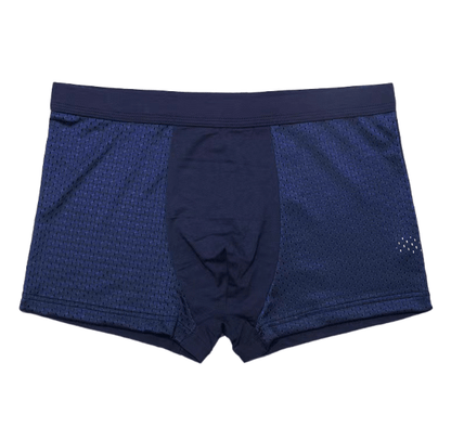 Modal Solid Ice Silk Antibacterial Underwear - linilee